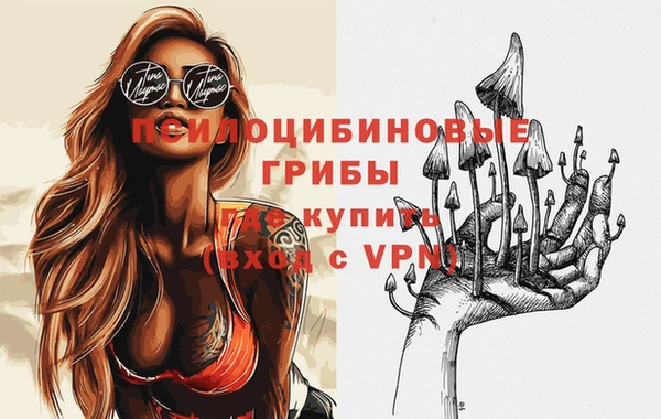 индика Видное