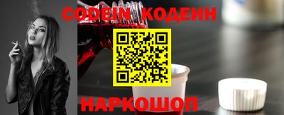 ешки Кингисепп
