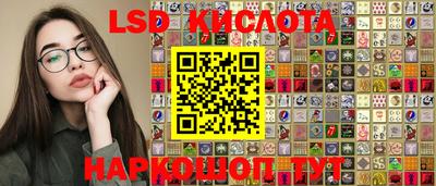 стаф Кинель