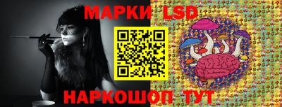 стаф Кинель