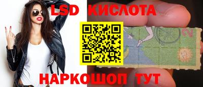 стаф Кинель