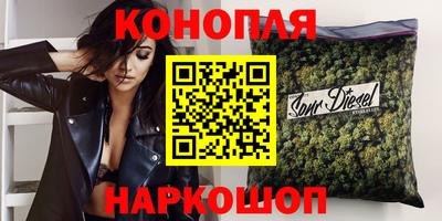 стаф Кинель