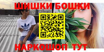 ешки Кингисепп
