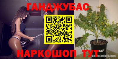 стаф Кинель