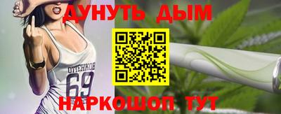 ешки Кингисепп