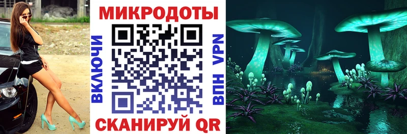 Псилоцибиновые грибы Cubensis  KRAKEN ONION  Барабинск 