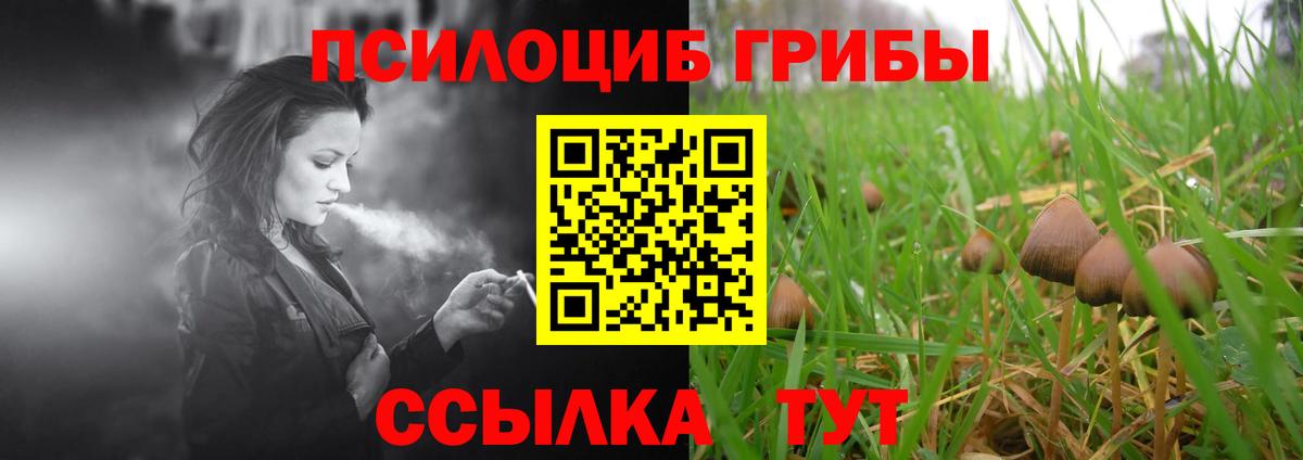 Галлюциногенные грибы MAGIC MUSHROOMS  Вход с VPN  Барабинск 